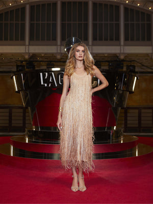 فستان الأمير