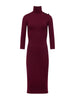 Voletta Turtleneck Midi Dress