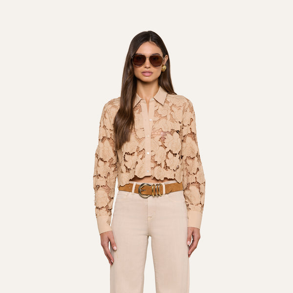 Seychelle Cropped Eyelet Blouse in Almond | L'AGENCE